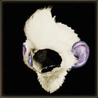 ブランゴネコヘッドα