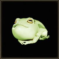 スージャネコフロッグα