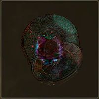 ププロネコブレイン