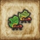 コノハコビアリ