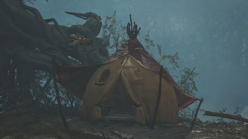 Chapter1-3 森の生態調査