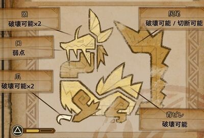 タマミツネ肉質