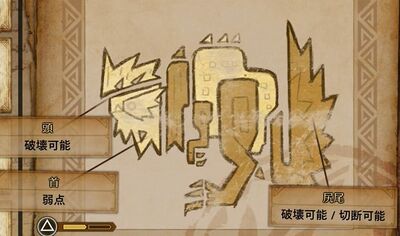 ケマトリス肉質