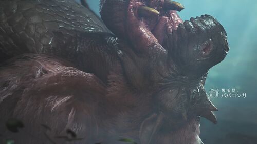 Chapter1-3 森の生態調査