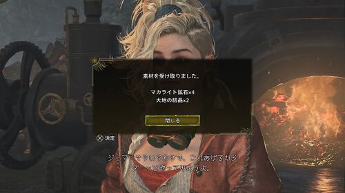 Chapter1-3 森の生態調査