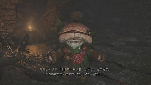 Chapter1-3 森の生態調査