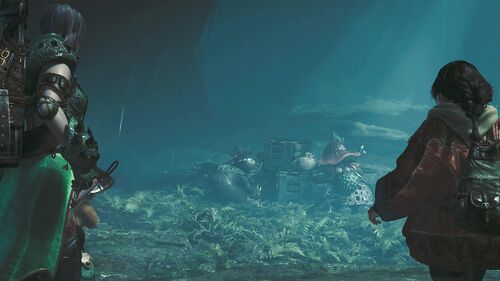 Chapter1-3 森の生態調査