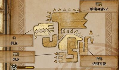 護竜リオレウス肉質