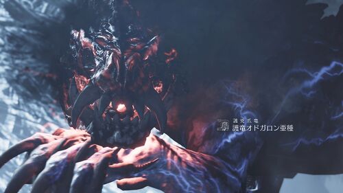 Chapter3-3 めぐる命