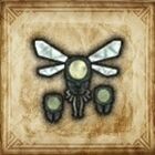 ヤミテラシバチ