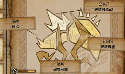 ネルスキュラ肉質