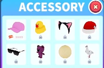 アクセサリー（ACCESSORY）