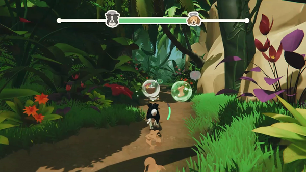 ビーグルとの追いかけっこ