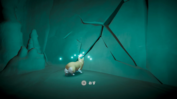 犬の秘薬場所1・取り方