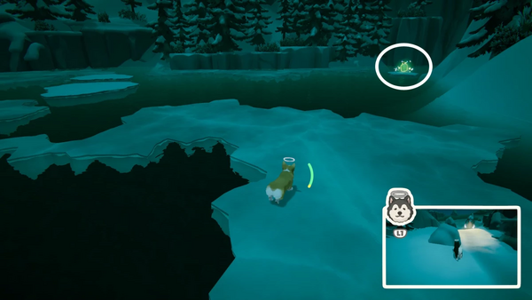 秘薬（雪山の頂上）