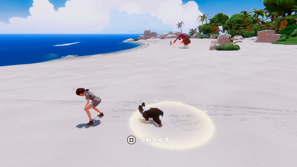 お姉さんを岩陰まで移動させる