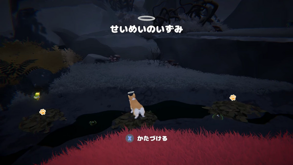 泉の掃除（落ち葉）