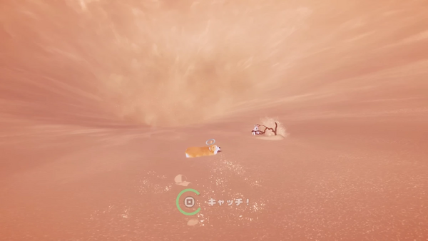 流砂に飛び込み子犬をキャッチ