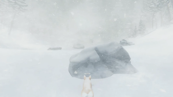 岩陰で強風を凌ぐ