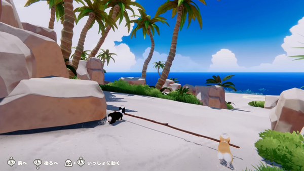 一緒に枝を運ぶ