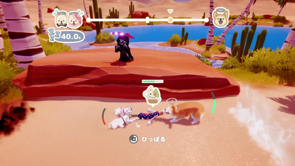 ぬいぐるみの引っ張り合い対決