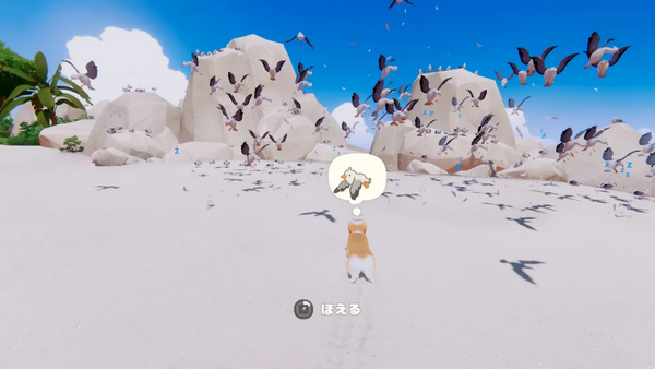 カモメを飛び立たせる