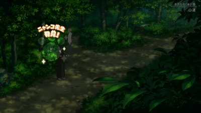 隠れニャンコ・二葉ダム方面1