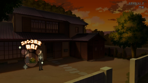 隠れニャンコとは