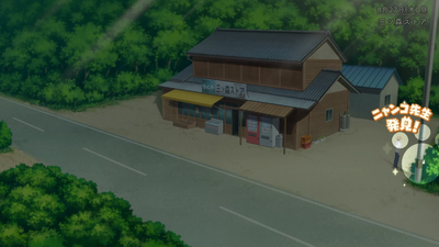 隠れニャンコ・八ツ原方面7