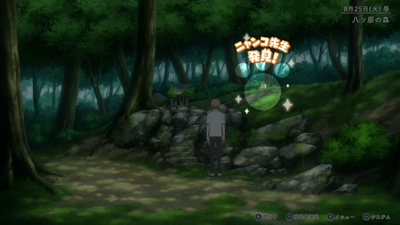 隠れニャンコ・八ツ原方面3