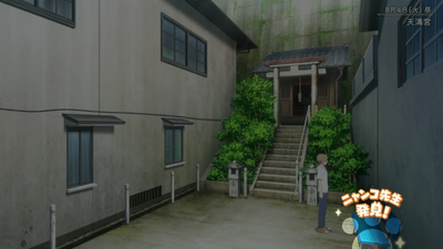 隠れニャンコ・何樫駅方面11