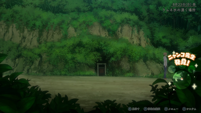 隠れニャンコ・二葉ダム方面5