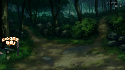 隠れニャンコ・棚田方面7