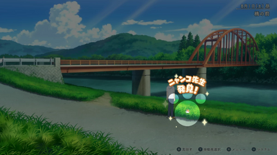 隠れニャンコ・河川敷5