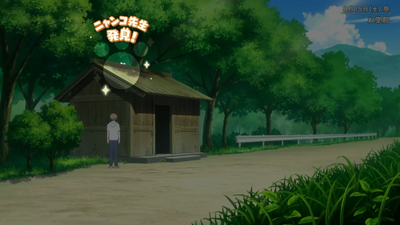 隠れニャンコ・河川敷7