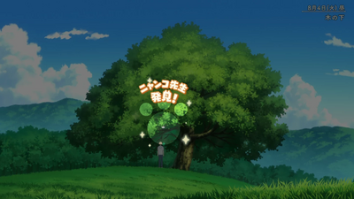 隠れニャンコ・七辻屋方面4