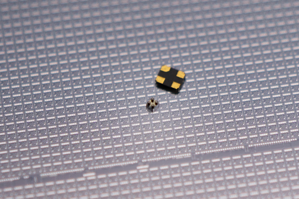 68dc923721d5c bodyimage2.jpeg