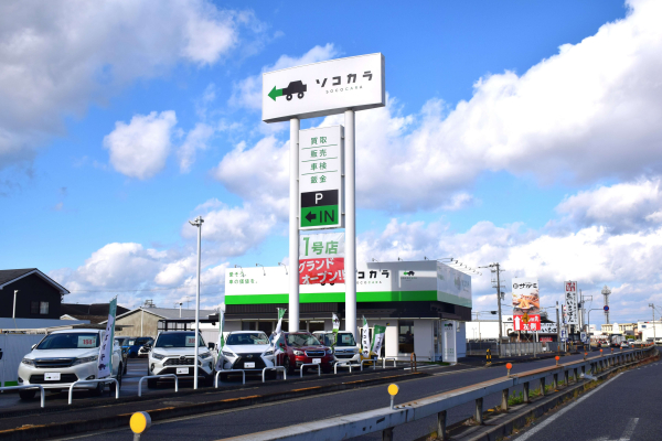 693ba85b7afaf bodyimage2.jpeg