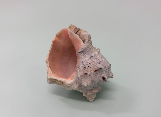 685609f6134c9 24989-114-ec9459726a0e1fd7548c2831ea63dd05-857x625.png