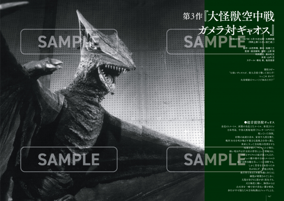 68ddc78eaf922 bodyimage2.jpeg