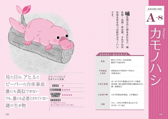 68f833b398429 bodyimage2.jpeg