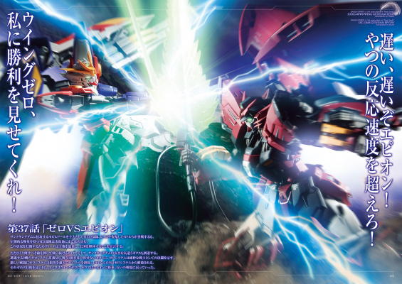 690c244f724d5 bodyimage3.jpeg