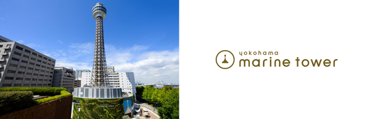 691d57663ef5d 105702-69-c1f5258c768244856b97d34223a3e1ef-1689x538.png