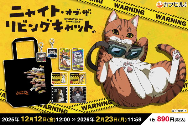 693b9a53a65bd bodyimage1.jpeg