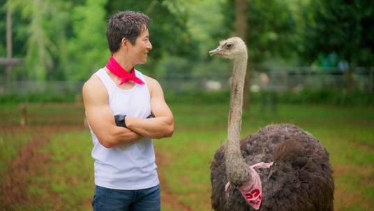 68d48d5411a3c 5593-1177-ee4b684614e1a7f585c33a0ae409f024-1920x1080.jpg