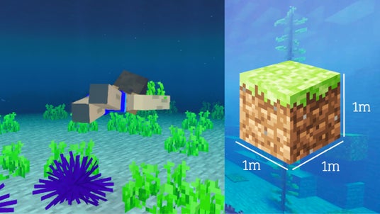 68b66bd26cbc2 149857-9-d9ed5ec616c206545170b967589775e6-2522x1419.jpg