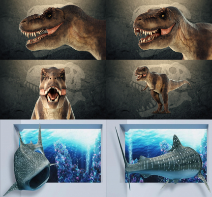 692cefe15b0f9 bodyimage2.jpeg