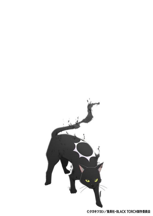 6869e58e9439a 14827-8775-04db79540dfa6a7945e93cb1428fdb47-1358x1920.png