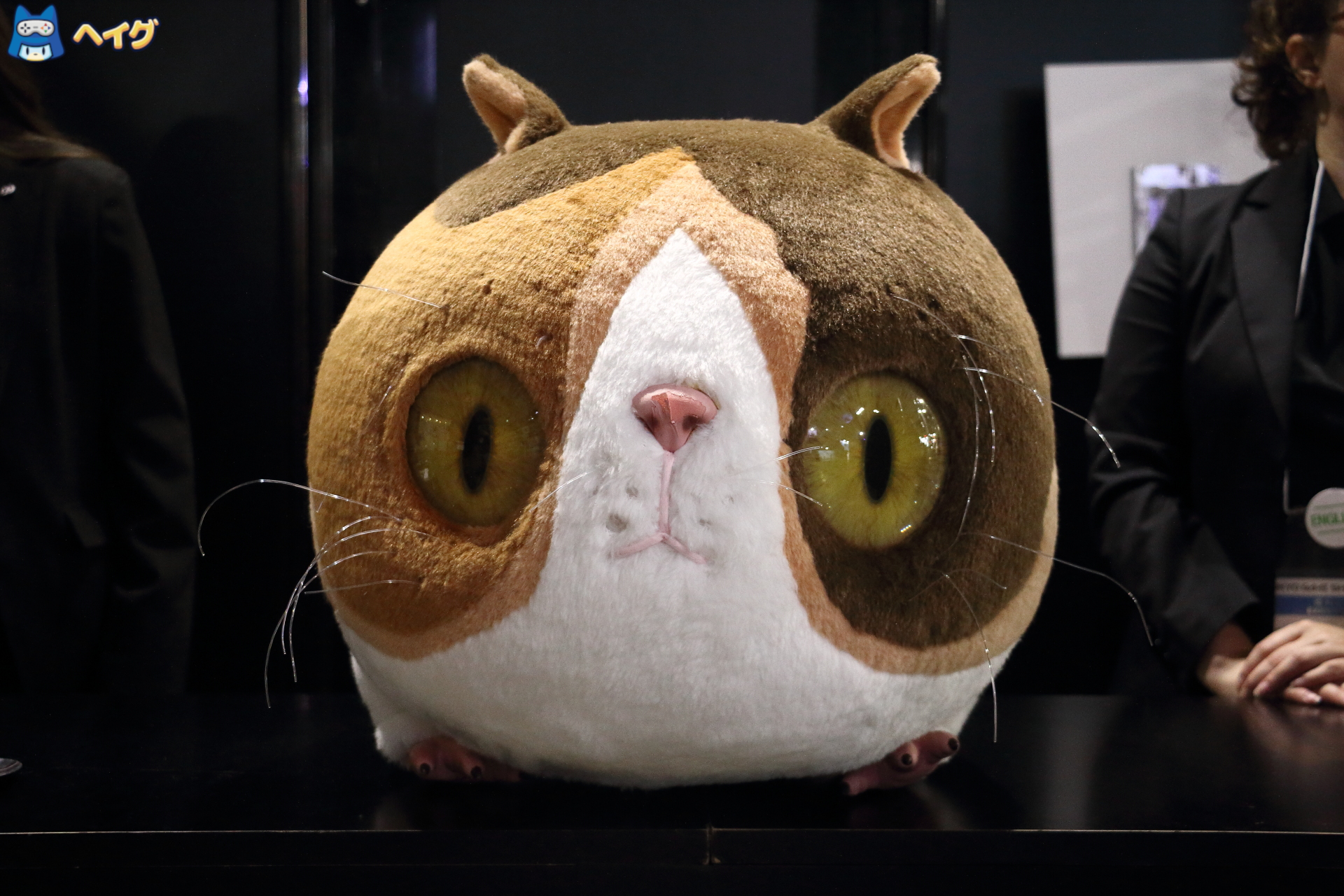 【TGS2025】『ゼルダ無双 封印戦記』 + コーエーテクモゲームスブース レポートの画像