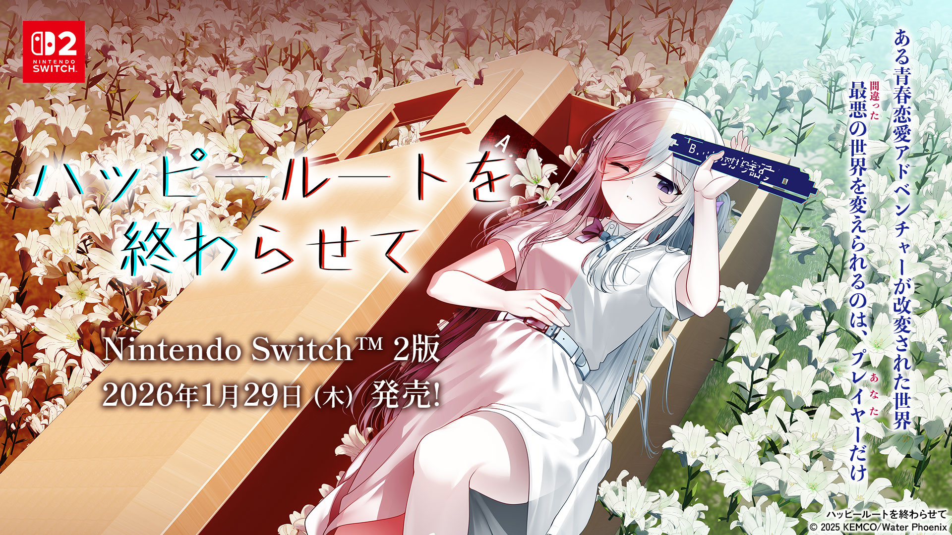 マリオデ】滝の国で ピーチ姫 - スーパーマリオ オデッセイ 攻略Wiki：ヘイグ